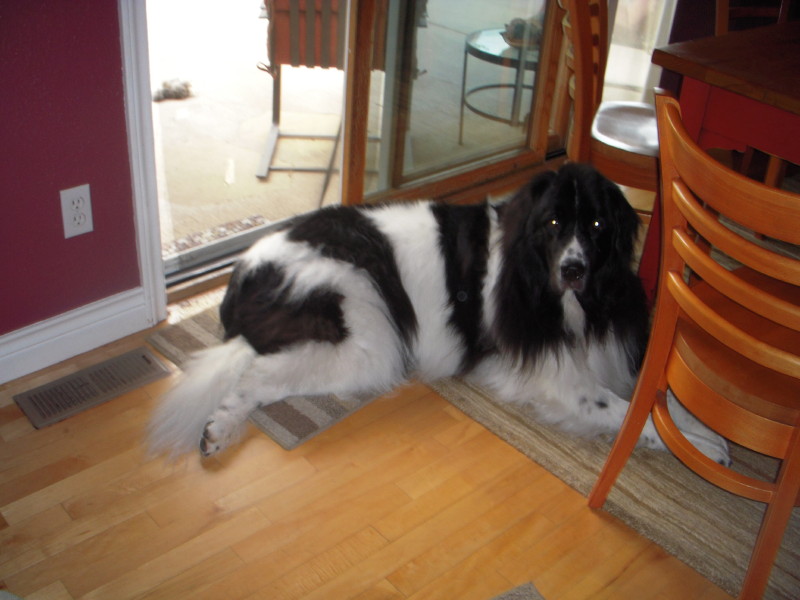 dscn0280.jpg