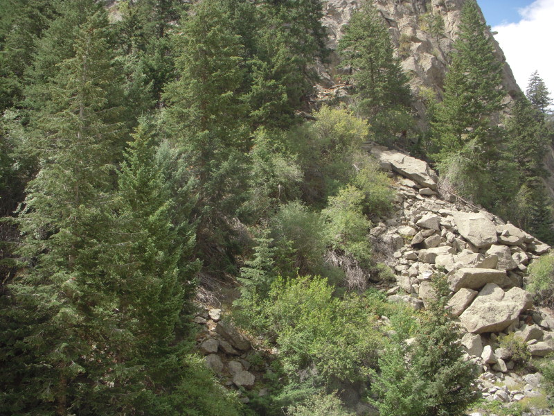 dscn0383.jpg