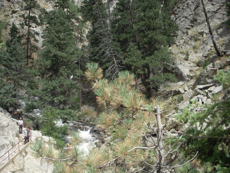 dscn0392.jpg
