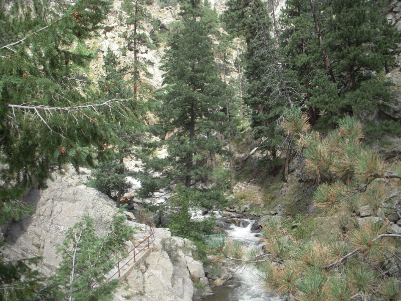 dscn0405.jpg